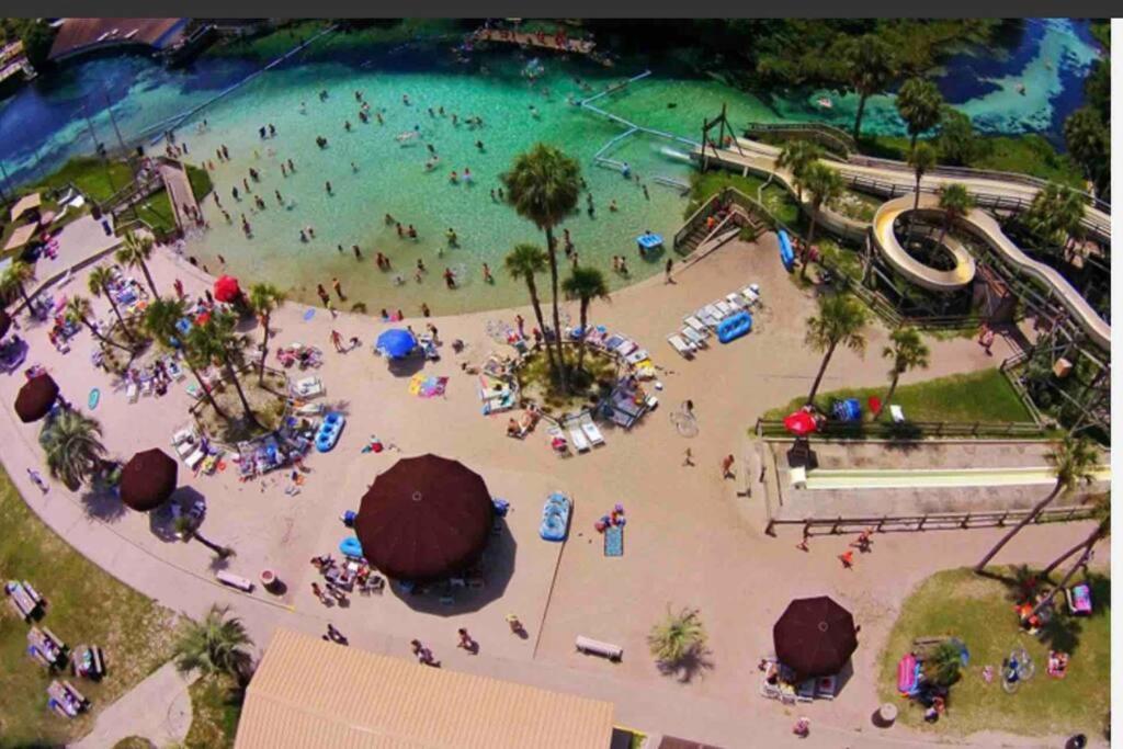 Manatee Oasis Weeki Wachee Family Fun Pool Home スプリングヒル エクステリア 写真